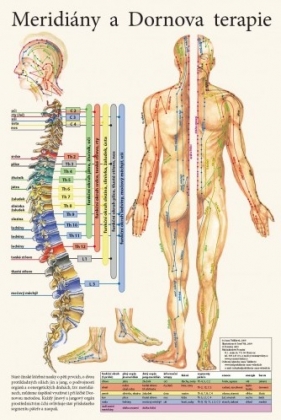 Meridiány a Dornova terapia 32x47cm